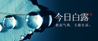 简约摄影风白露节气祝福问候公众号封面首图