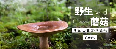 磨菇简约创意摄影美食公众号封面首图