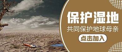 湿地通用简约红包公众号封面