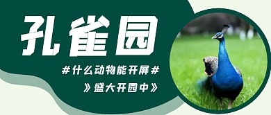 孔雀动物园开业活动简约绿色公众号封面首图