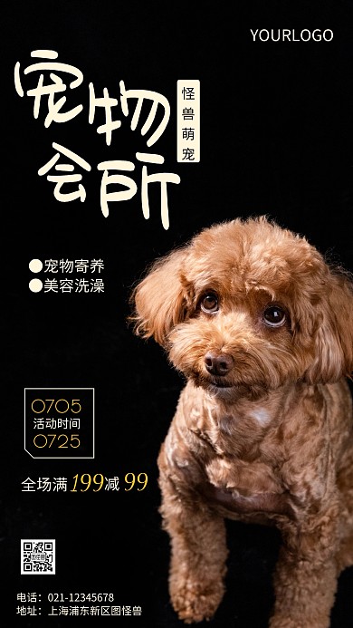 摄影图萌宠暑假黑色简约风手机海报
