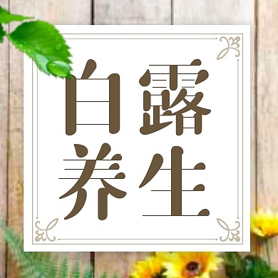 白露养生促销简约公众号次图