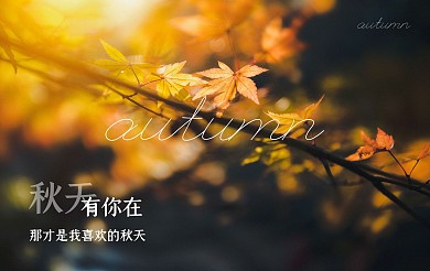 秋季唯美树叶明信片