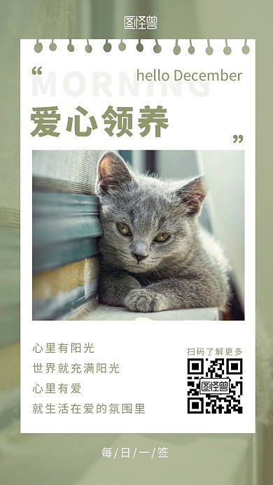 绿色简约摄影动物宠物猫咪早安领养代养日签