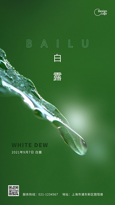 白露叶子传统二十四节气绿色露珠摄影图海报