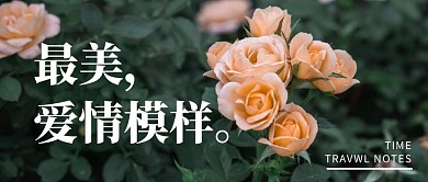 最美爱情模样公众号封面首图