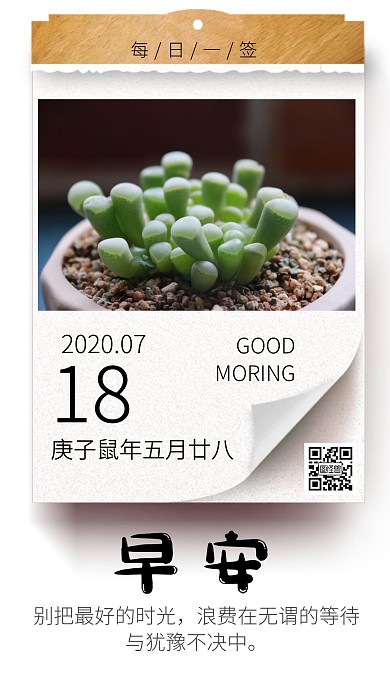 早安日历多肉多肉白色简约日签