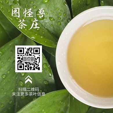 茶叶关注二维码简约摄影公众号正方形配图