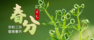 春分节气节日简约公众号封面首图