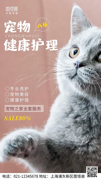 摄影图宠物健康护理灰色简约风手机海报
