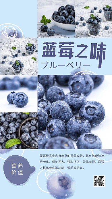 简约摄影蓝色蓝莓多图简介宣传手机海报