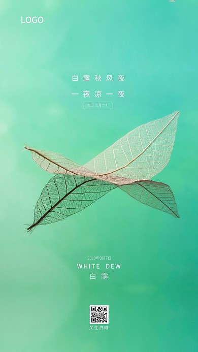 简约质感白露传统节气摄影风手机海报