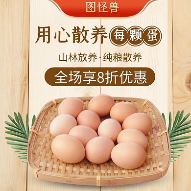 淘宝简约食品散养土鸡蛋直通车