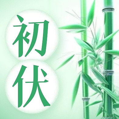 初伏节气祝福竹子公众号封面次图