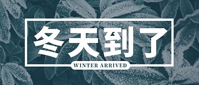 冬天到了简约摄影风公众号封面