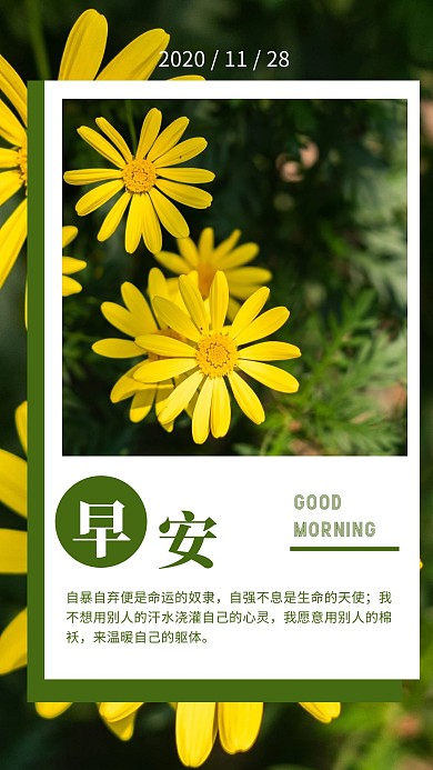 周六日签图简约绿色植物早安11.28日