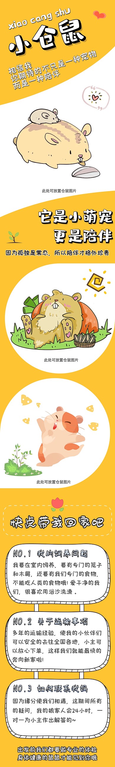仓鼠淘宝详情图黄色