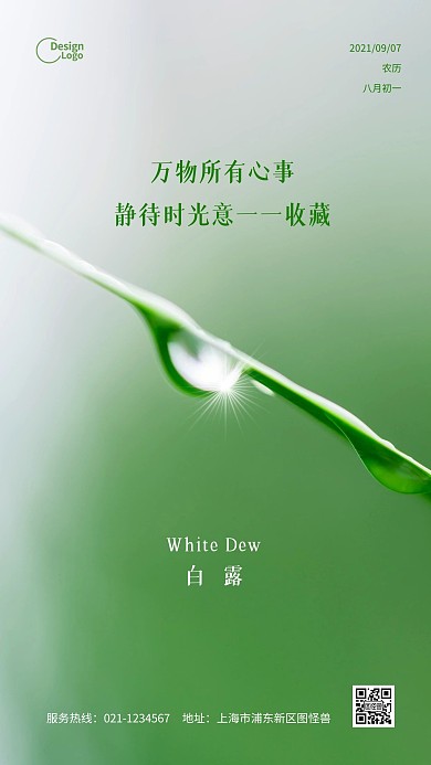 绿色水珠白露二十四节气节日摄影图海报