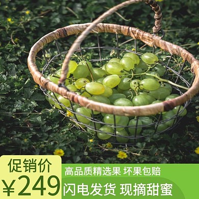 葡萄电商主图绿色大气