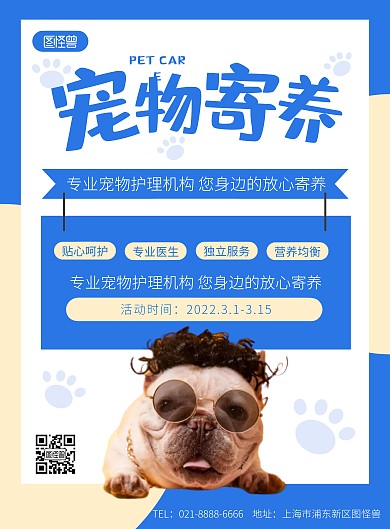 宠物寄养蓝黄撞色几何竖版海报