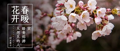 春暖花开摄影风公众号封面