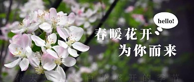 摄影风春天桃花公众号封面首图