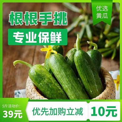 新鲜黄瓜蔬菜绿色电商主图直通车