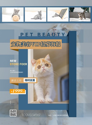 宠物美容VIP招募生活服务简约海报