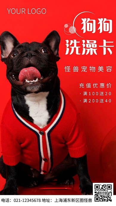 简约风摄影图狗狗洗澡促销特惠摄影图海报