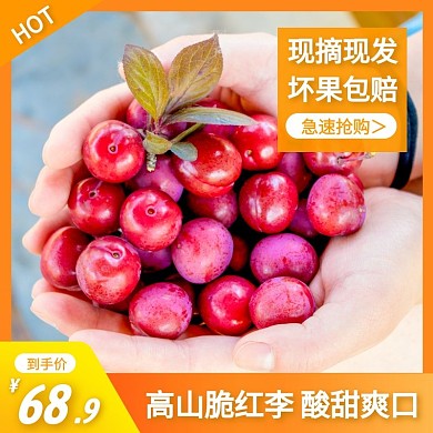 脆红李简约大气橙色主图直通车