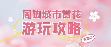 周边城市赏花游玩攻略公众号首图