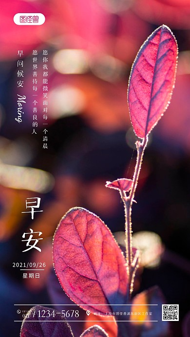 早安祝福唯美简约风摄影图海报