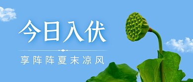 今日入伏莲蓬夏天公众号封面首图