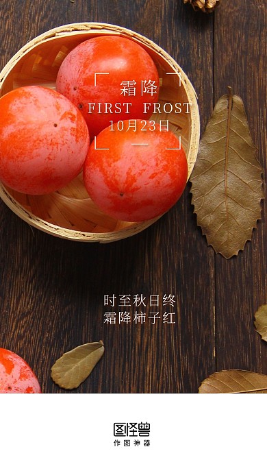摄影风霜降节气植物自然霜降手机启动页闪屏