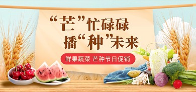 芒种节气水果蔬菜促销电商banner