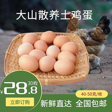 散养鸡蛋淘宝活动绿黄白简约直通车