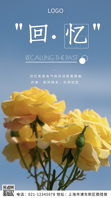 摄影图植物花卉白色简约风摄影图海报