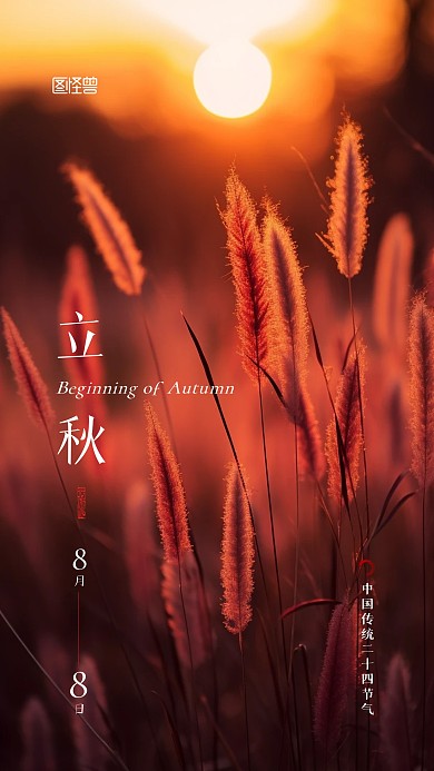 立秋二十四节气摄影图宣传AIGC手机海报