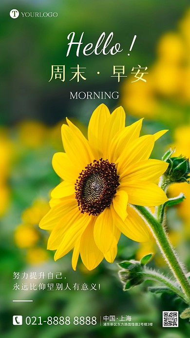 早安周末励志正能量微距摄影图海报
