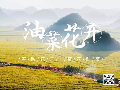 油菜花公众号横版配图