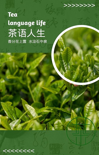 绿色简约健康天然茶叶