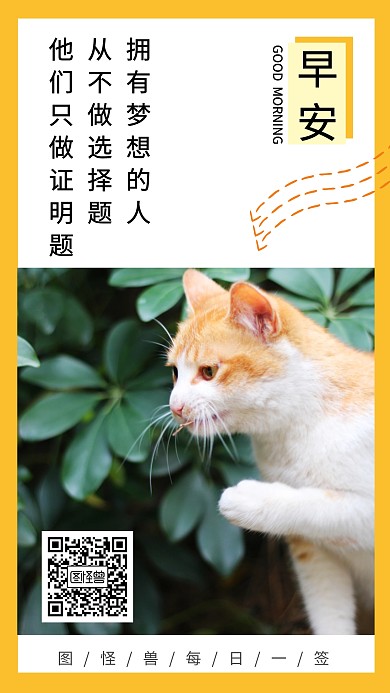 简约猫咪早安日签