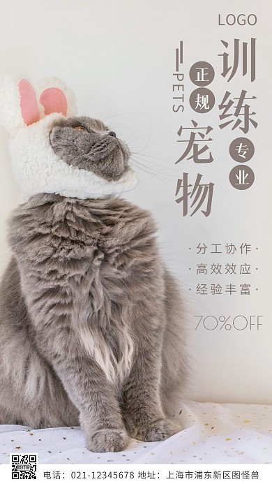 摄影图宠物训练白色简约风摄影图海报
