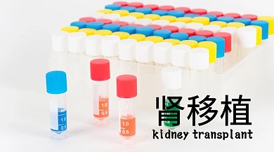 肾移植医疗蓝白色简约公众号封面模板