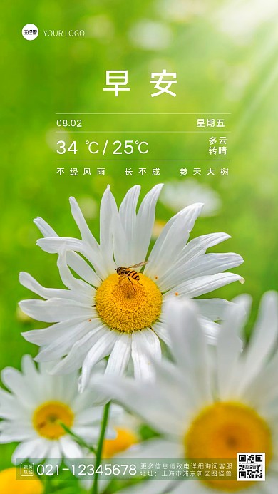天气温度报告早安日签摄影图海报