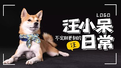 宠物生活分享趣味简约摄影横版视频封面