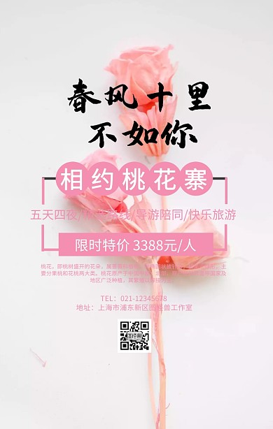 相约桃花寨旅游宣传海报