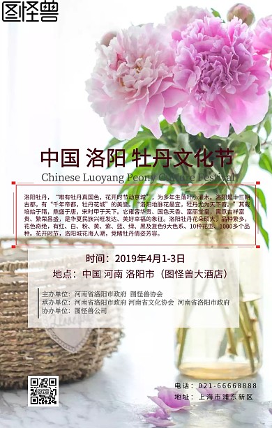 牡丹花文化节白色牡丹简约海报	