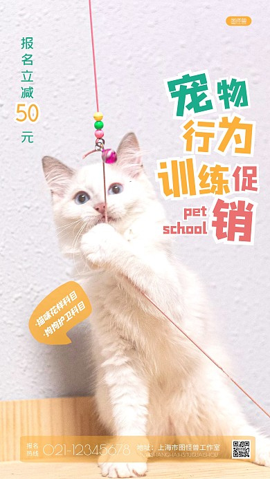 简约宠物行为训练促销宣传摄影图海报