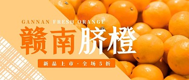赣南脐橙橙子新鲜水果简约公众号封面首图